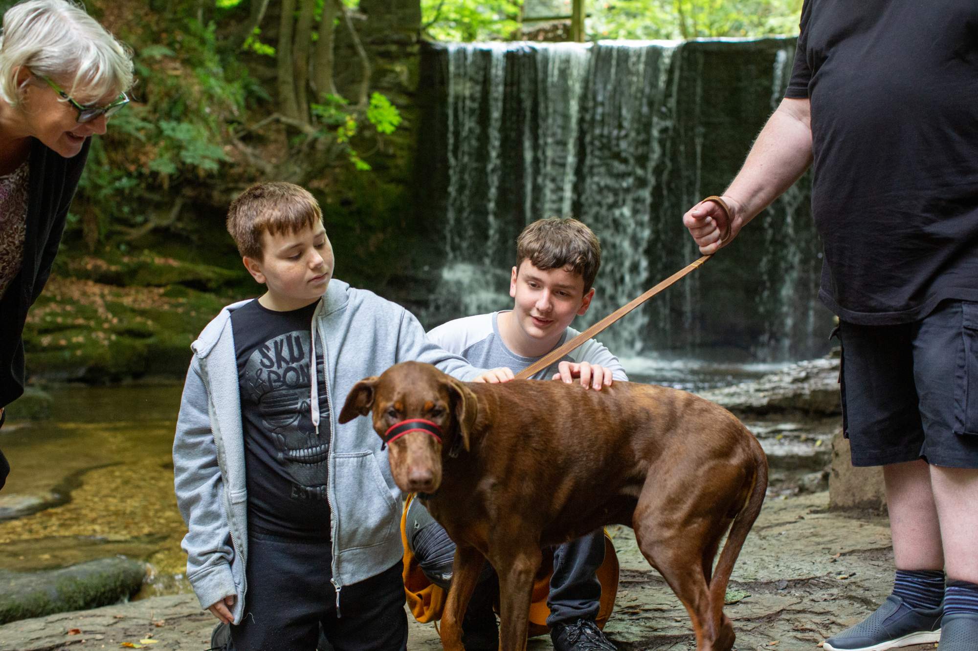 Two young brothers petting their dog