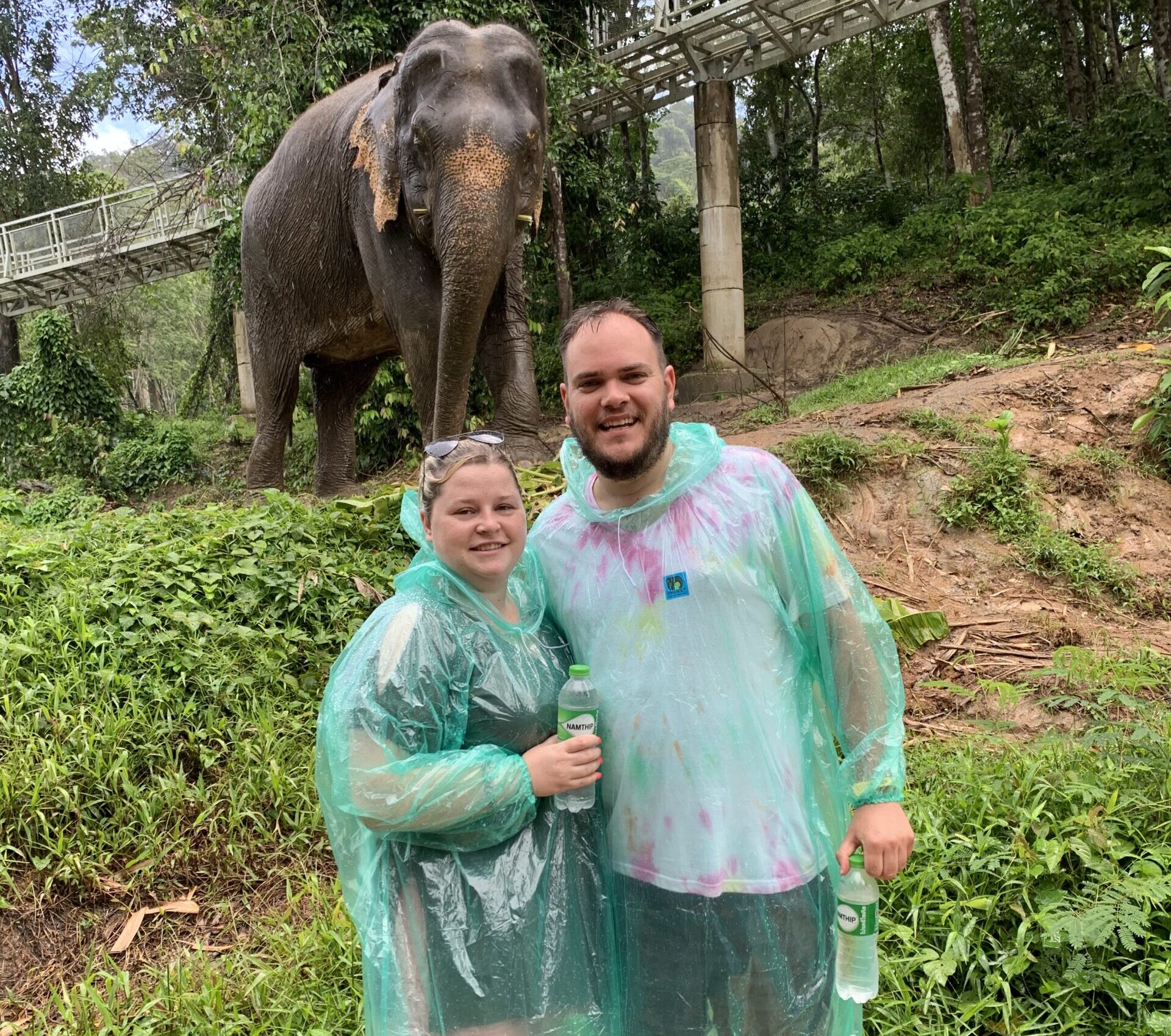 Foster carers at the zoo standing in front of an elephant.